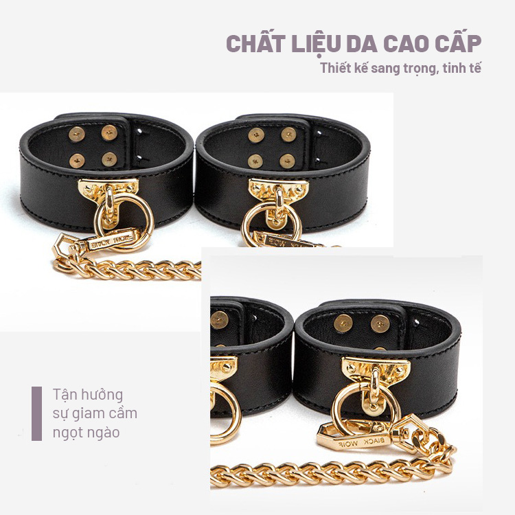 Set Queen SM Đồ Chơi SM Da Cao Cấp Hộp Sang Trọng SS201